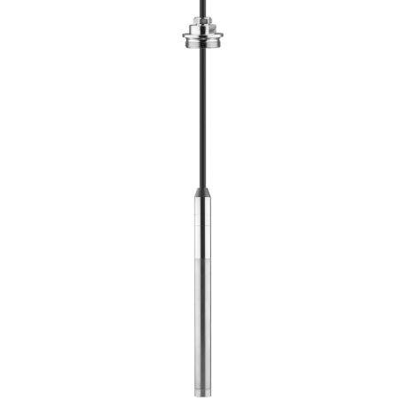 VEGAWELL S51 - Traductor de presiune hidrostatica